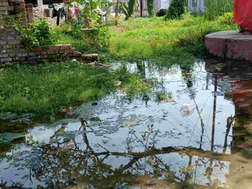 सदर अस्पताल परिसर में जमा पानी डेंगू को दे रहा निमंत्रण